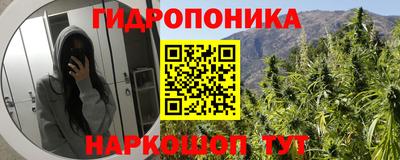 спиды Заволжье