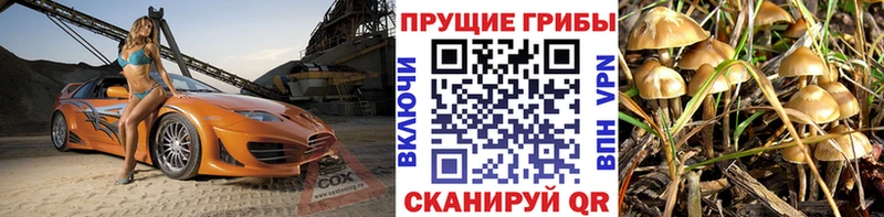 Псилоцибиновые грибы Cubensis купить наркоту Нижний Тагил