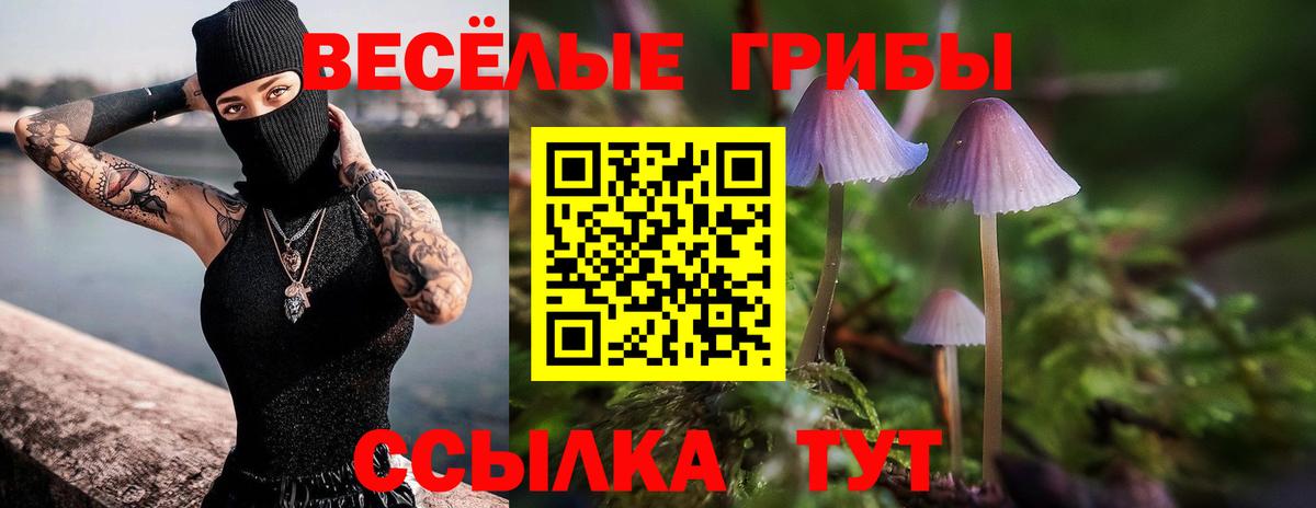 продажа наркотиков  Псилоцибиновые грибы Magic Shrooms  Галлюциногенные грибы Magic Shrooms  Вход с VPN  Нижний Тагил 