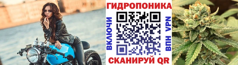 Шишки марихуана сатива  Нижний Тагил 